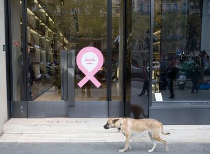Un perro pasea delante de otra tienda que apoya la campaña anti-cáncer