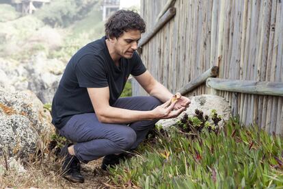 El chef Rodolfo Guzmán identifica, cosecha varias veces por semana y cocina los ingredientes nativos que crecen junto al mar de su país. Es el alma y cerebro del Boragó, uno de los mejores restaurantes de Chile y de América Latina.