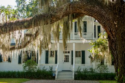 Un roble cubierto de musgo barba de viejo (’Tillandsia usneoides’) junto a la fachada de una casa en Federal Street, en Beaufort (Carolina del Sur). 