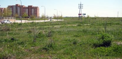 Terrenos en los que se ejecutará a partir de finales de año el parque Manolito Gafotas, en el distrito de Carabanchel.