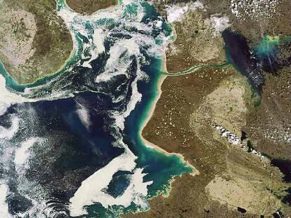 Foxe Basin, una región helada de gran biodiversidad