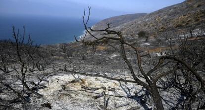 Vista del océano Pacífica al fondo de una zona afectada por el fuego.