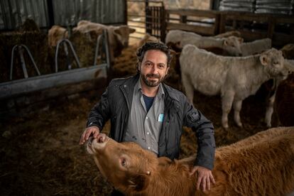 Tomas Ayuso, propietario de la ganadería Natural de Velilla, en los terrenos de su empresa en Madrid, el 25 de noviembre.