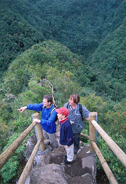 Un rincón de la reserva Los Tiles, al noreste de La Palma, donde se encuentran los nacientes de Marcos y Cordero.