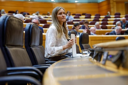 La vicepresidenta tercera y ministra para la Transición Ecológica y el Reto Demográfico, Sara Aagesen, este miércoles en el Senado.