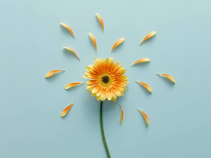 ¿Por qué la alergia puede producir depresión y el estrés, ataques de asma?