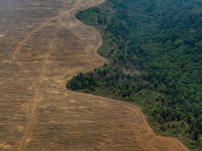 Los productores de soja han quemado bosques para expandir la superficie cultivable. Cerca de Porto Velho, Rondônia (Brasil).
