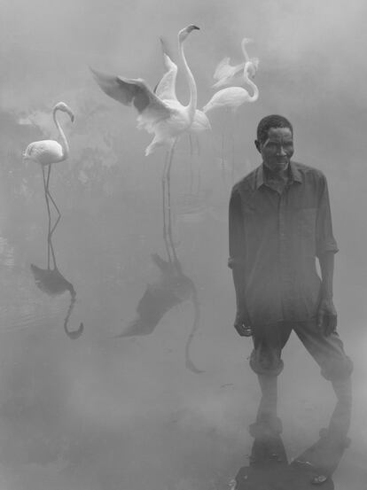 La belleza se solapa con la tragedia en esta serie que se exhibe en la Atlas Gallery de Londres y hace referencia a los errores del pasado, la realidad del presente y la incertidumbre sobre el futuro.<p>En la imagen, el pescador Patrik, que sufre el descenso de las aguas del lago Chivero, en Zimbabue, posa junto a flamencos rescatados.</p>