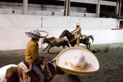 Dos charros observan a un participante que intenta amarrar a un toro mientras monta un caballo durante un evento en la charreada celebrada en la ciudad de México. Los jinetes ganan puntos de acuerdo con la velocidad con la que consiguen dominar al toro.