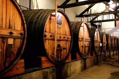 Las bodegas de Quinta do Bomfim, que desde 2022 albergan el restaurante de Pedro Lemos.