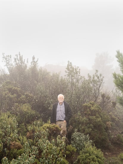 El profesor emérito Baltasar Cabezudo.