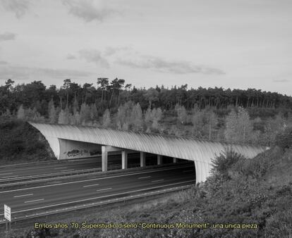 'Bridges are Beautiful'