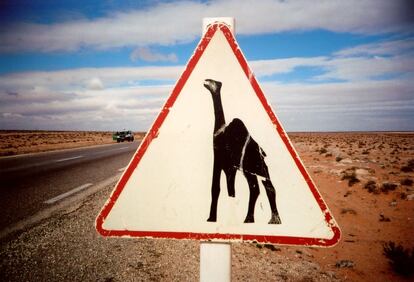 Cartel de tráfico en una carretera desértica de Egipto.