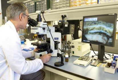 En el laboratorio, el investigador Andres Sánchez Ledesma.