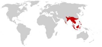 Distribución geográfica de la cobra real ('Ophiophagus hannah').