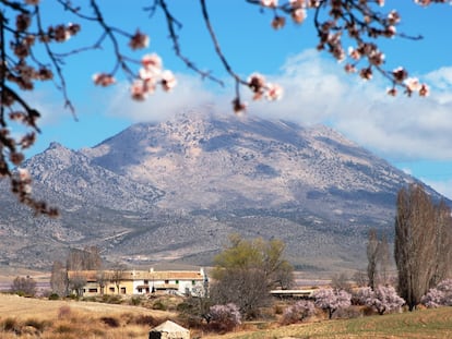 Vista del Pico de la Sagra (de 2.383 metros), en la comarca granadina de Huéscar.