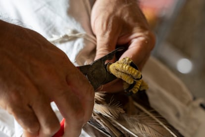 Tras realizar la analítica, la medición, comprobar el plumaje y determinar la edad, se procede a a anillar a las aves, utilizando unos alicates especiales.