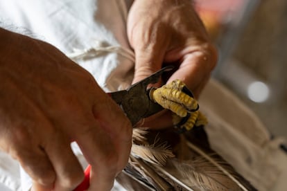 Tras realizar la analítica, la medición, comprobar el plumaje y determinar la edad, se procede a a anillar a las aves, utilizando unos alicates especiales. 