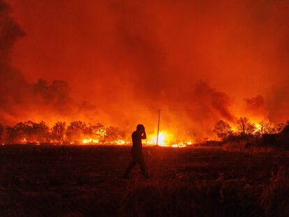 Flames burn a forest during a wildfire in Avantas village, near Alexandroupolis town, in the northeastern Evros region, Greece, on Aug. 21, 2023.