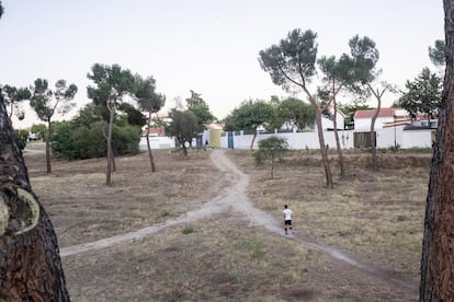En los márgenes de la colonia, comunicando con Pozuelo, hay una zona de pinares y terraplenes por donde la gente sale a pasear o hacer ejercicio.