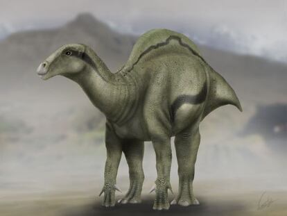 Reconstrucción del dinosaurio `Morelladon beltrani´ descubierto en Morella (Castellón).