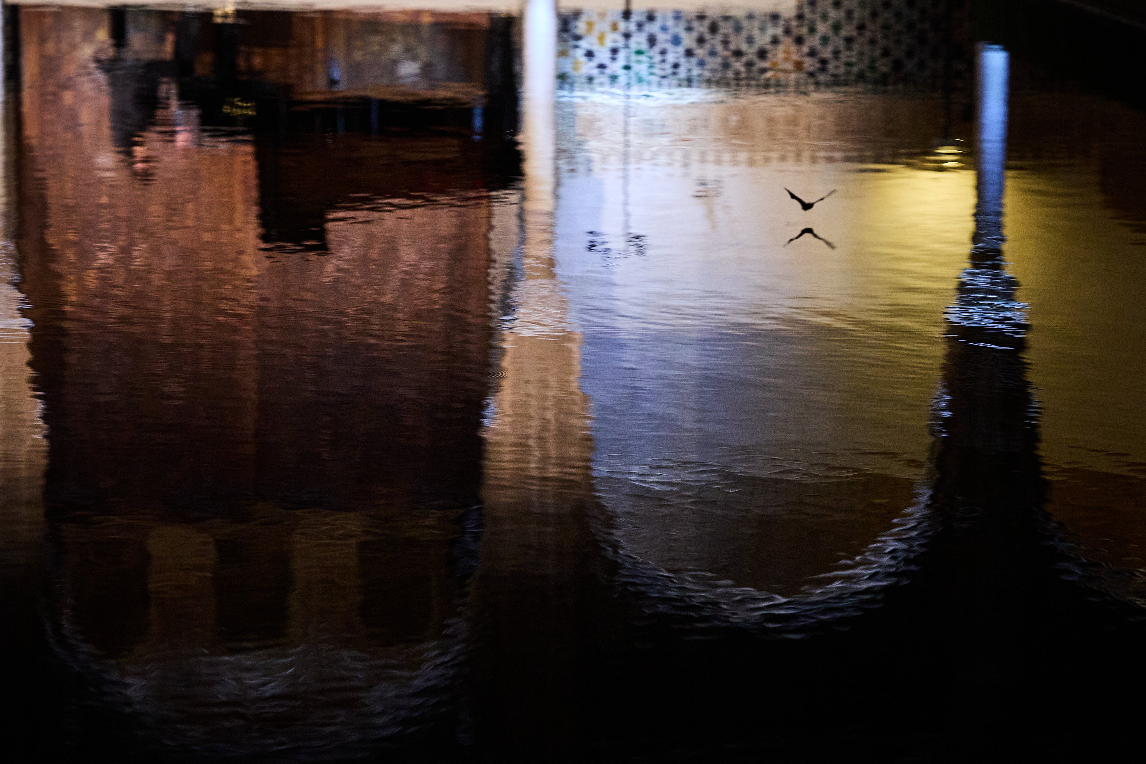 Reflejo del escenario del recital de Javier Perianes en el agua de la alberca del Patio de los Arrayanes donde sobrevuela un murciélago, la noche del 6 de julio en el Festival de Granada.