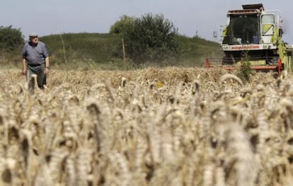 Un agricultor franc&eacute;s en un campo de Dechy, en el norte de Francia.  