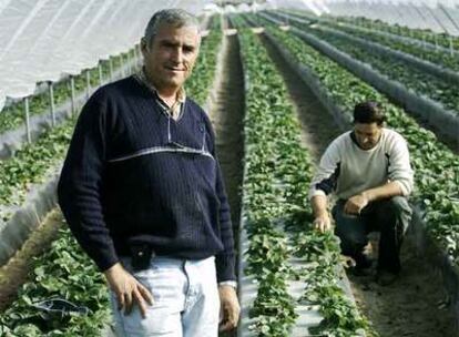 Francisco Callejo (izquierda), propietario, con el trabajador rumano Gheorghe Traian.