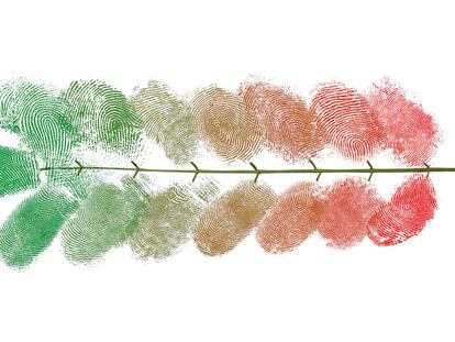 Por una transformación democrática ‘verde’