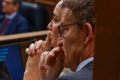 Alberto Núñez Feijóo, en el Congreso de los Diputados.