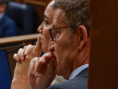 Alberto Núñez Feijóo, en el Congreso de los Diputados.