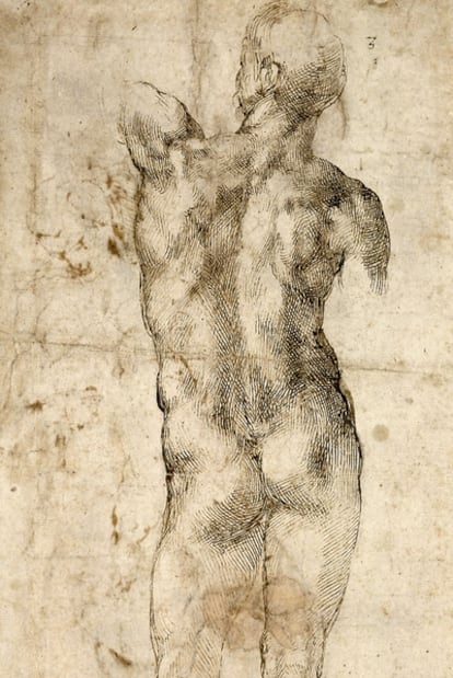 Dibujo de Miguel Ángel, titulado `Hombre desnudo de pie? (1501-1504)