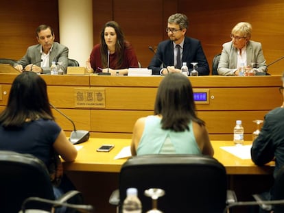 Comisión de Ciegsa en las Cortes Valencianas.