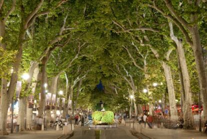 El bulevar Mirabeau, uno de los paseos más conocidos y elegantes de Francia, en Aix-en-Provence.