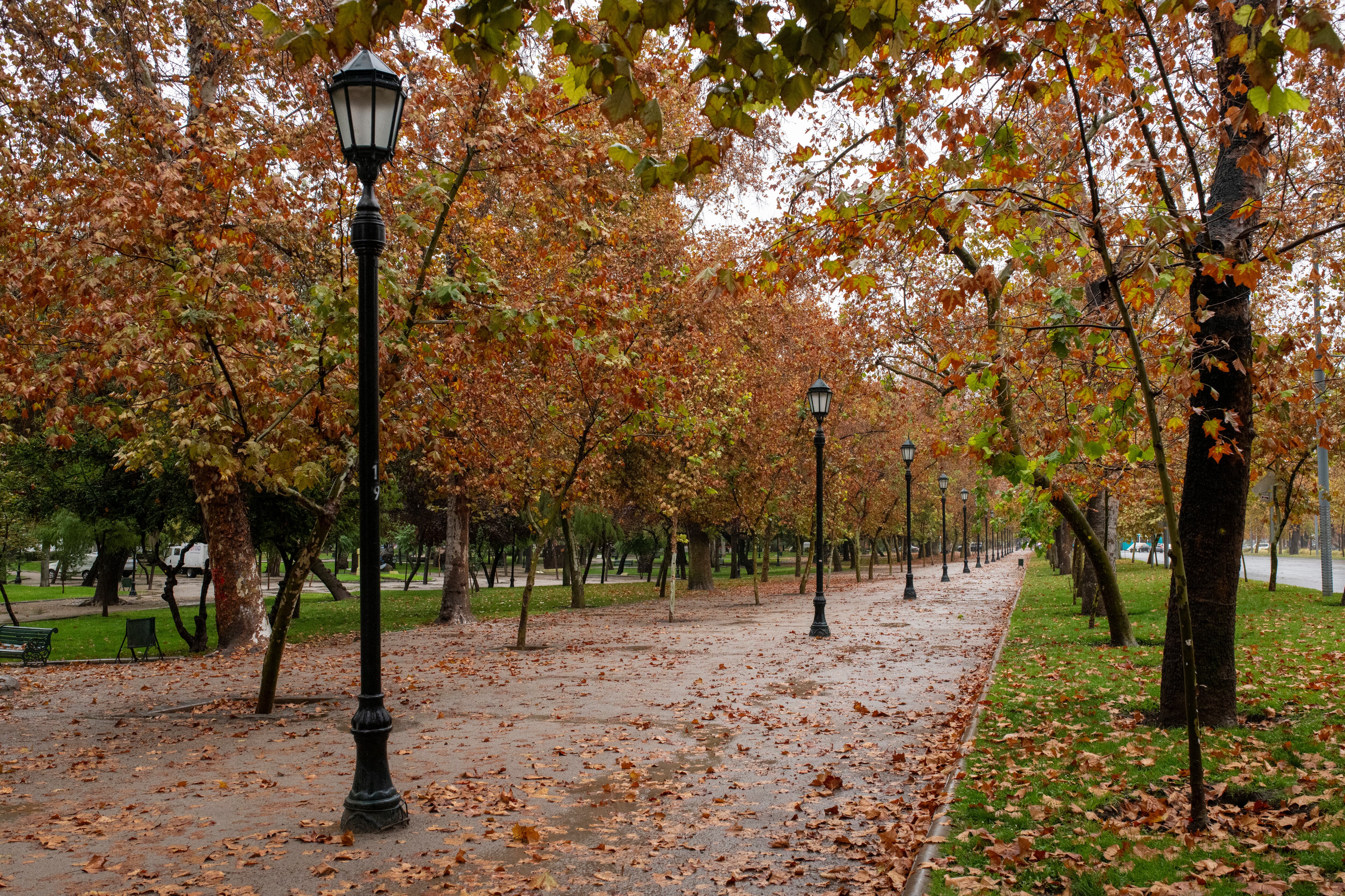 Un área del parque forestal de Santiago.