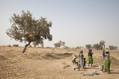 Sea por el fuego, por sobreexplotación o por destinar la tierra a otros usos, la deforestación es una realidad que amenaza los medios de vida y el acceso al agua de gran parte de la población mundial y alimenta el cambio climático. Por eso, en el Día Internacional de los Bosques, el llamamiento es unánime: hay que conseguir una explotación forestal sostenible, conservando los bosques existentes y recuperando los dañados o extinguidos. Es básico para el futuro del planeta, además de ser una vía para el desarrollo y la salida de la pobreza de cientos de millones de personas. En la imagen, un grupo de mujeres trabaja en Níger en el programa Iniciativa Gran Muralla Verde del Sáhara y el Sahel. La prioridad es cuidar y conservar los bosques y explotarlos de manera sostenible, plantar nuevos árboles y regenerar las zonas boscosas existentes y fomentar prácticas agrícolas responsables, así como extender las zonas verdes urbanas y periurbanas.