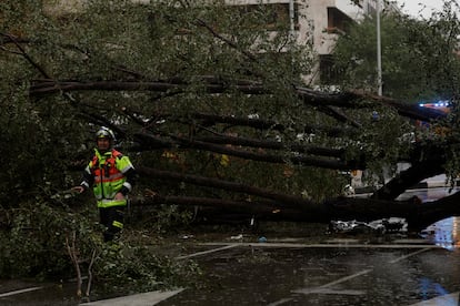Un trabajador de emergencias junto al árbol caído que ha matado a una mujer, este jueves en Madrid.