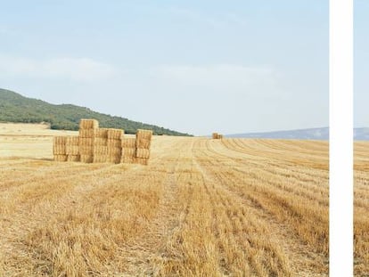 'Mendaza, invierno de 1834', díptico de la serie 'Campos de batalla. España' (1994-1999).