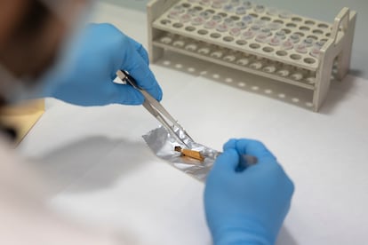 Análisis de una colilla de cigarro para tratar de obtener muestras de ADN. 