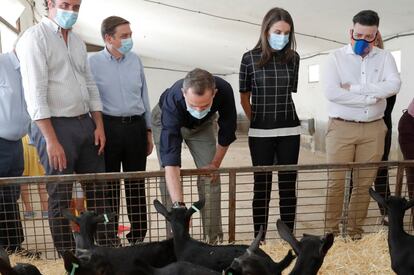 Los reyes Felipe VI y Letizia estuvieron este miércoles en las instalaciones de una sociedad agraria en San Martín de la Vega (Madrid). La visita les sirvió para conocer de primera mano los problemas del sector agroganadero.