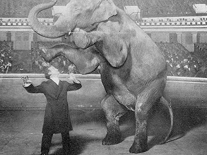El ilusionista Houdini, en 1918, durante la actuación en el hipódromo de Nueva York en la que hizo desaparecer a la elefanta Jennie.