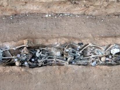 Parte de la fosa del pueblo burgalés de Daimiel, de más de 30 metros, en la que han aparecido 59 esqueletos.