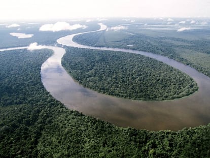 Vista aérea del río Amanã, afluente del Amazonas, donde el laureado de los Premios Rolex a la Iniciativa ha creado una reserva natural sostenible. ©Rolex/Marc Latzel