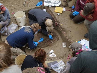 Descoberta dos restos arqueológicos da menina em Upward Sun River, no Alasca.