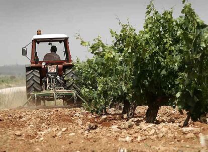 Un agricultor prepara una finca de viñedos en la comarca de Requena-Utiel, en Valencia.