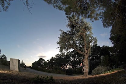 Vista del parque Federico García Lorca de Alfacar (Granada), donde podría haber sido fusilado el poeta durante la Guerra Civil.