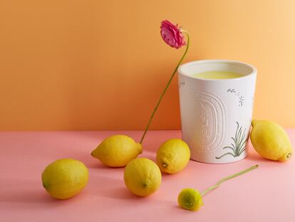Vela de jardín de Diptyque con esencia esencia de citronela de la colección, Summer Essentials