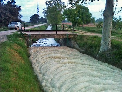 Aspecto que presentaba ayer por la ma&ntilde;ana el  ramal del canal de Urgell, lleno de espuma.