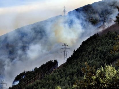 Incendio en el barranco de Viu de Llebata, en el Pont de Suert (Lleida).