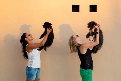 Daniela Hernández y Marianne Kuijpers. Mexicanas, imponentes y luchadoras, encarnan el amor incondicional y la generosidad. Su casa está siempre abierta y nunca faltan tequila y chelitas para compartir. Daniela es profesora de fitness en un polideportivo y Marianne editora de vídeo.